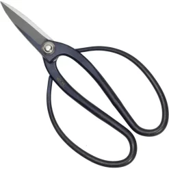 16de-19de Eeuwse Schaar