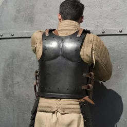 Epic Armoury Backplate Drake, Patineret