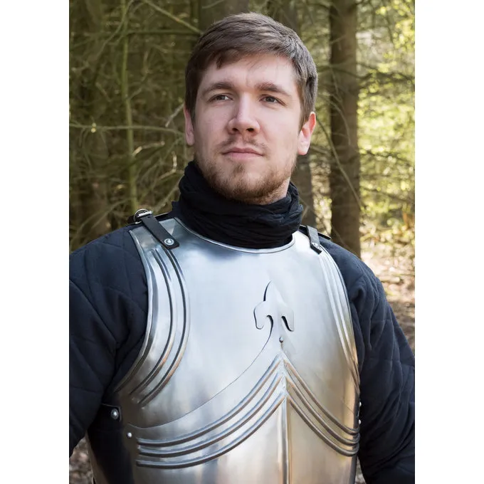 Deepeeka Gotisk Kyrads Med Bagplade Og Tassets 6 Deepeeka Gotisk Kyrads Med Bagplade Og Tassets - Billede 6