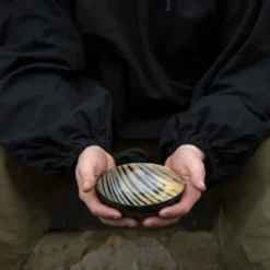 Epic Armoury Hornskål 16 Cm, Lys -Celtic Web Merchant Store hornskal 16 cm lys 4