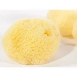 Klassisk Svamp (sæt Af Tre) -Celtic Web Merchant Store klassisk svamp saet af tre 2