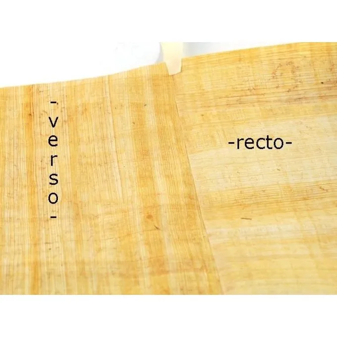 Papyrus Rulle 400 X 30 Cm 2 Papyrus Rulle 400 X 30 Cm - Billede 2