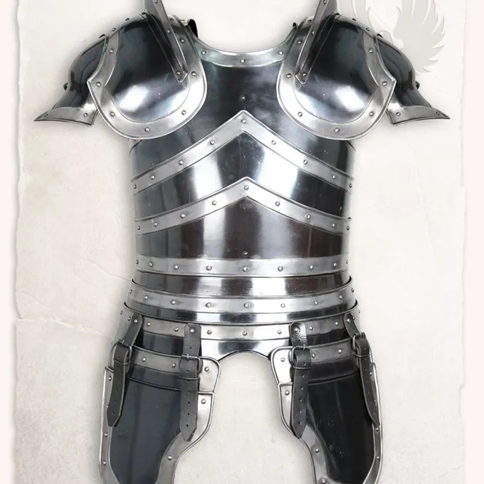 Mytholon Rustning Edward Bronseret 2 Mytholon Rustning Edward Bronseret - Billede 2