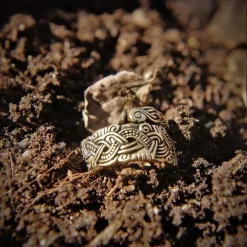 Viking Ring Isle Of Man, Bronze -Celtic Web Merchant Store viking ring isle of man bronze 2